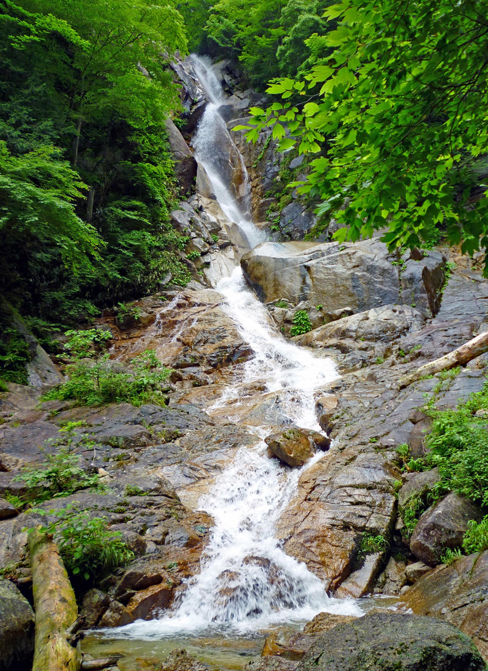 一連の瀑布からマイナスイオンが溢れる日本の滝百選 田立の滝